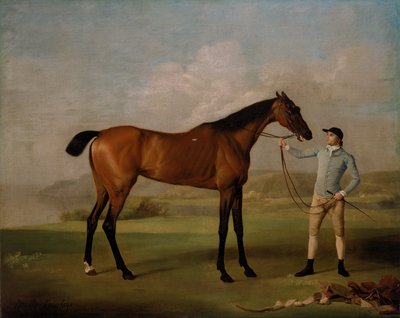 Molly Langbein mit ihrem Jockey von George Stubbs